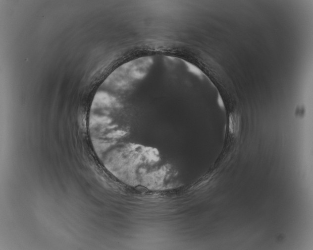 X0000111521155200908111155