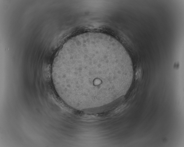 X0000111521156200908111155