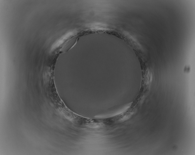 X0000111521157200908111155
