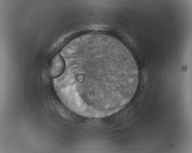 X0000111521158200908111155