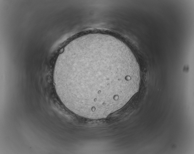 X0000111521159200908111155