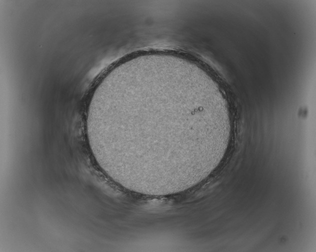 X0000111521160200908111155