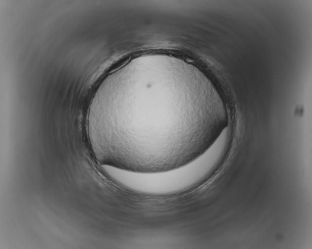 X0000111521161200908111155