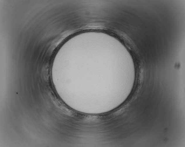 X0000111521162200908111155