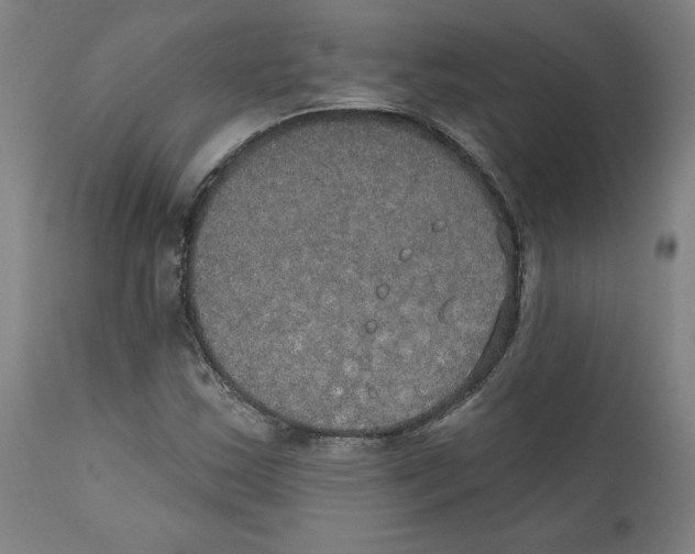 X0000111521163200908111155