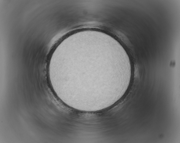 X0000111521164200908111155
