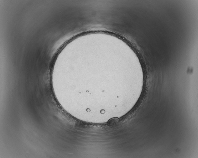 X0000111521167200908111155