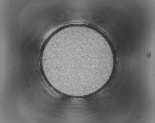 X0000111521168200908111155