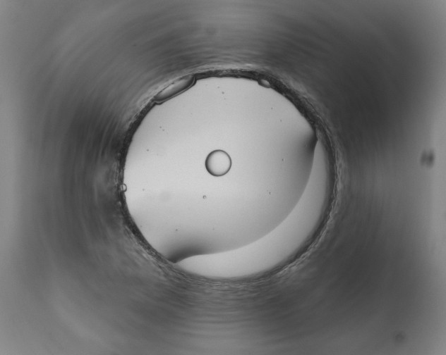 X0000111521169200908111155