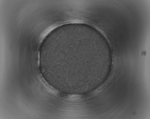 X0000111521171200908111155