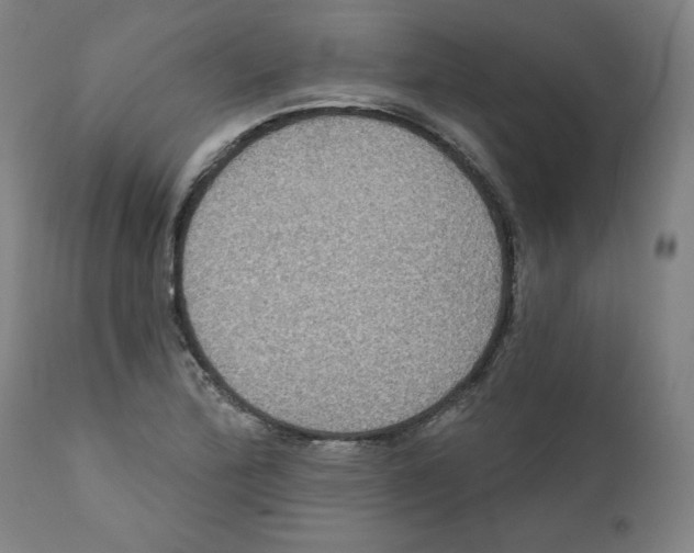 X0000111521172200908111155
