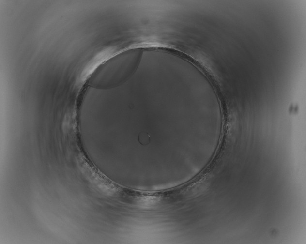 X0000111521173200908111155