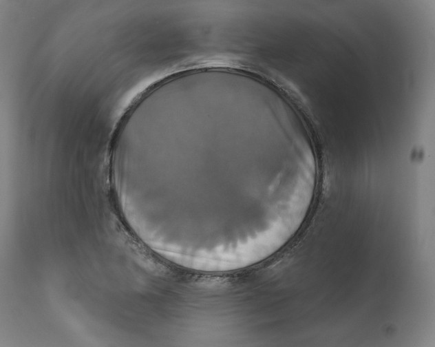 X0000111521174200908111155