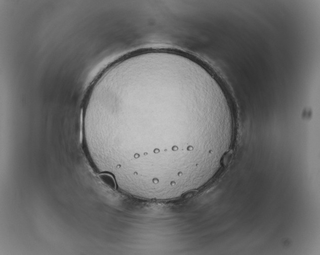 X0000111521175200908111155