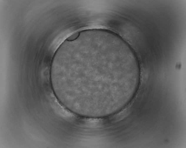 X0000111521177200908111155