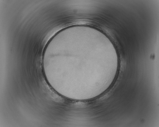 X0000111521178200908111155
