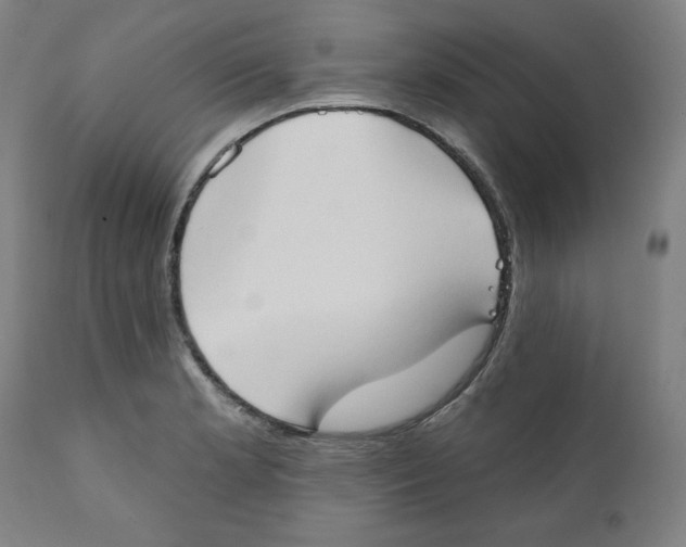 X0000111521181200908111155