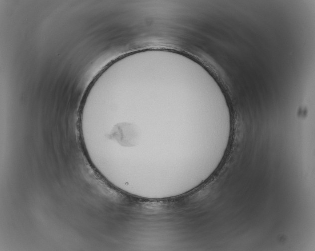 X0000111521182200908111155