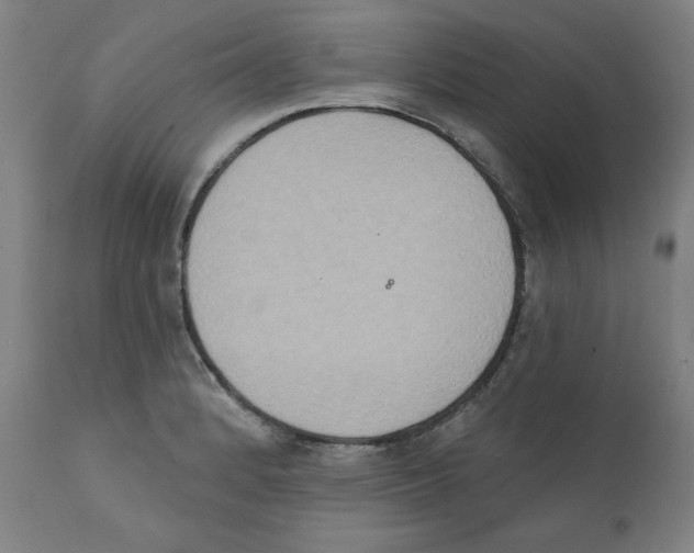 X0000111521184200908111155