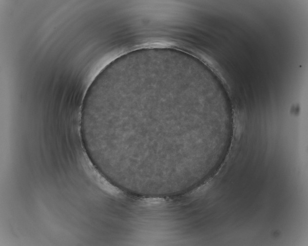 X0000111521186200908111155