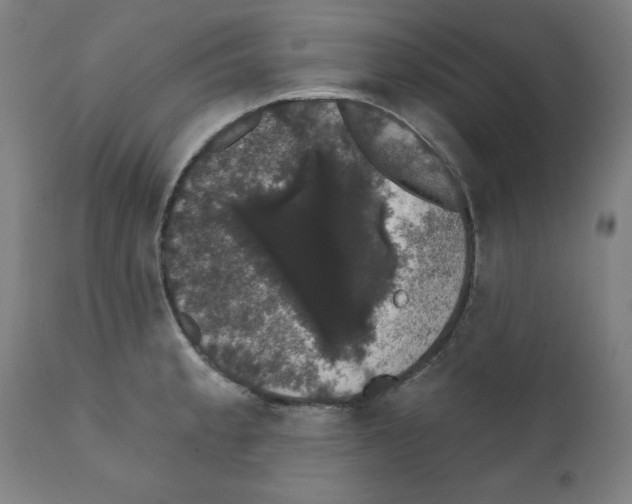 X0000111521189200908111155