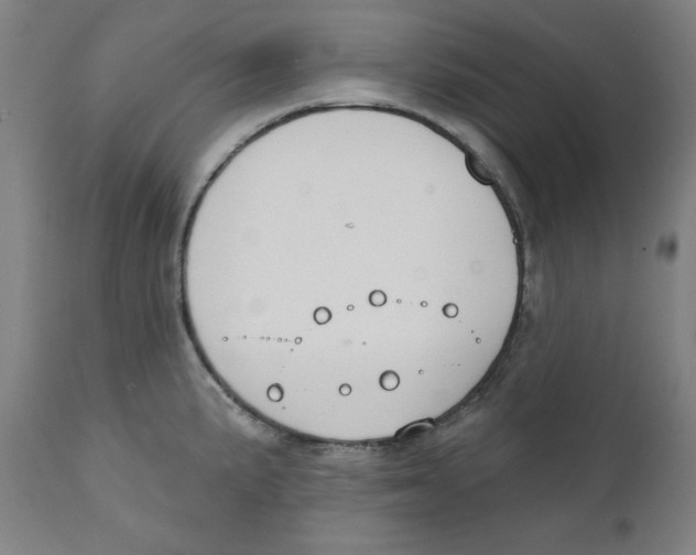 X0000111521191200908111155
