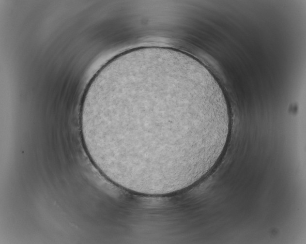 X0000111521192200908111155