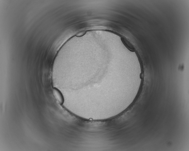 X0000111521193200908111155