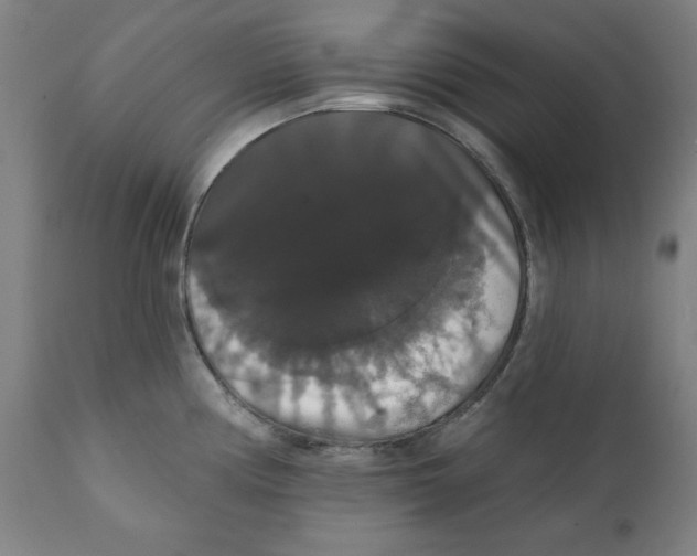 X0000111521194200908111155