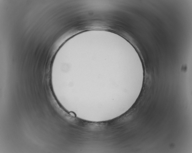 X0000111521195200908111155