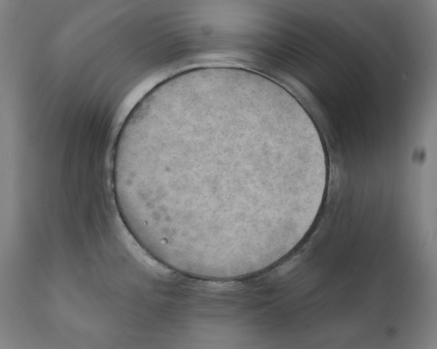 X0000111521196200908111155