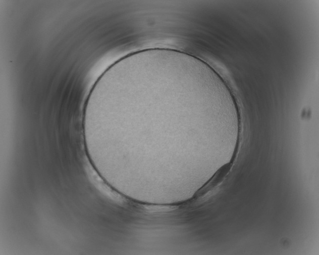 X0000111521200200908111155