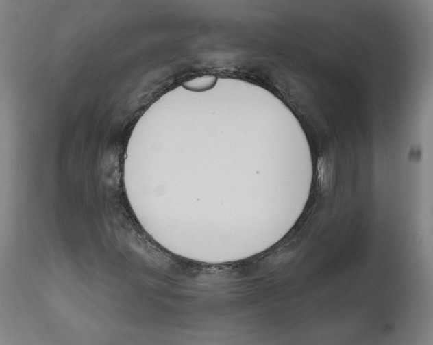 X0000111521203200908111154