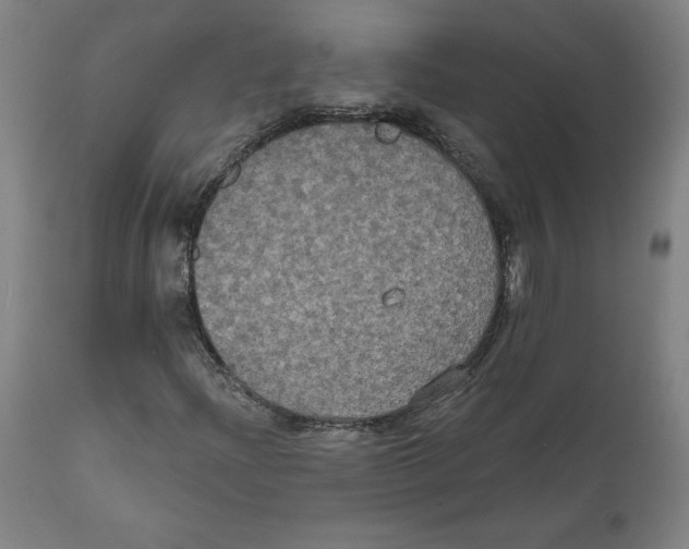 X0000111521204200908111154
