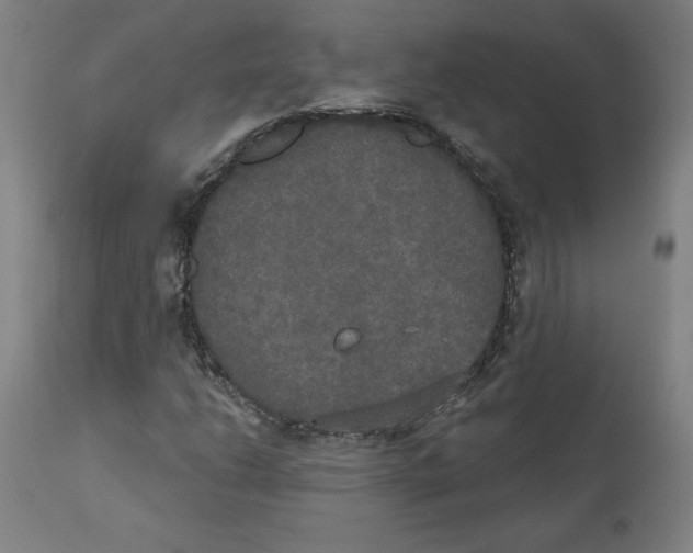 X0000111521206200908111154