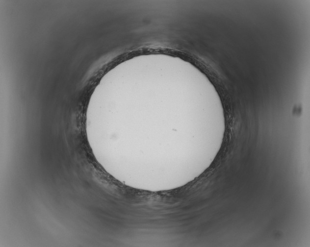 X0000111521207200908111154