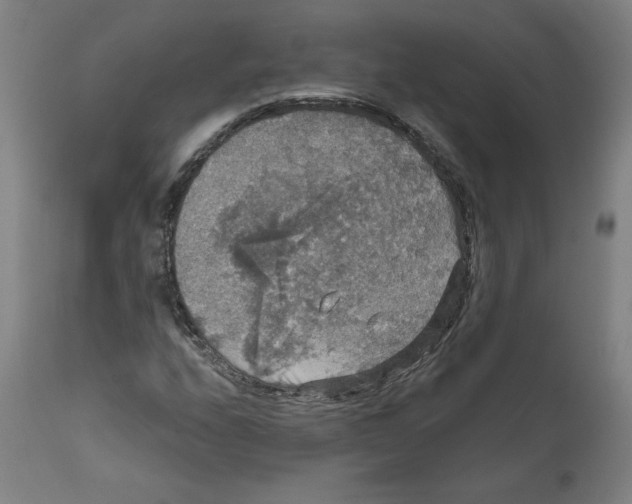 X0000111521208200908111154