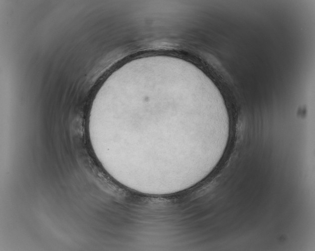 X0000111521209200908111154