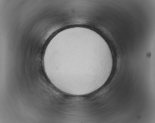 X0000111521210200908111154