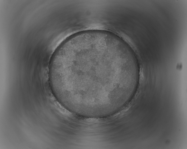 X0000111521212200908111154