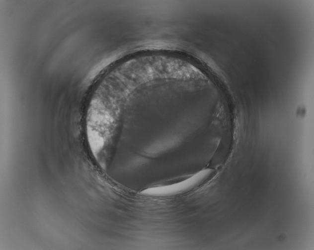 X0000111521213200908111154