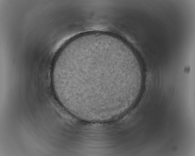 X0000111521214200908111154