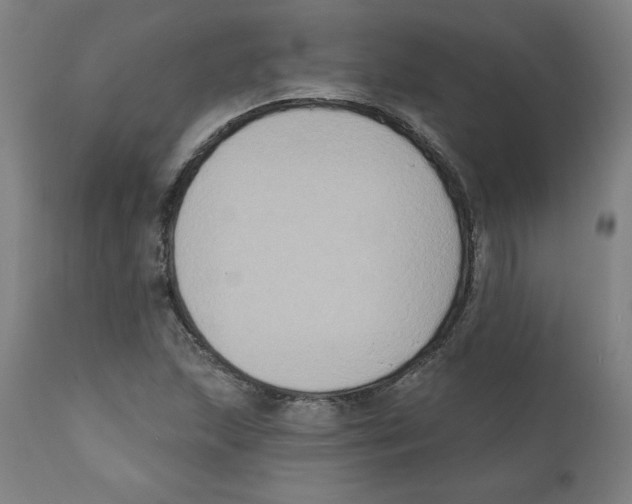 X0000111521215200908111154
