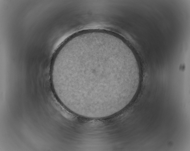 X0000111521216200908111154