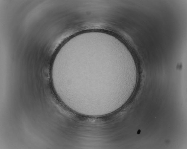X0000111521218200908111154