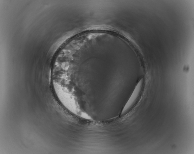 X0000111521221200908111154