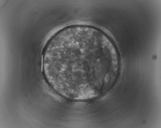 X0000111521223200908111154