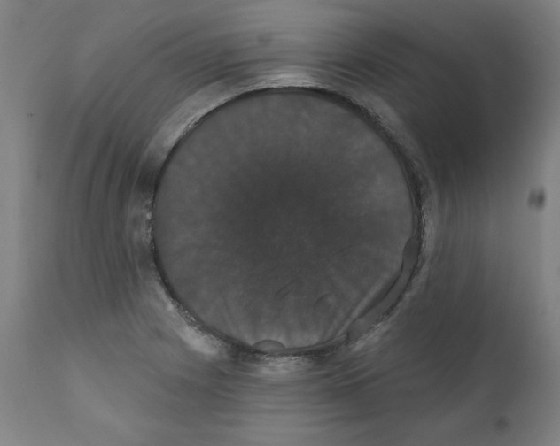 X0000111521225200908111154