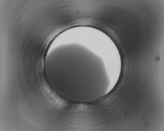 X0000111521226200908111155