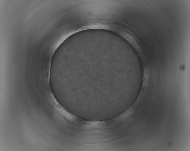 X0000111521228200908111155